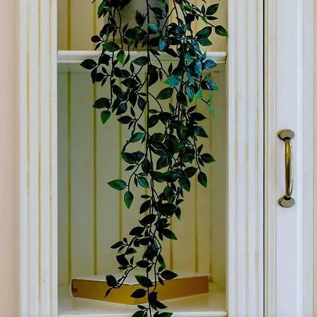 Ferdinand French Apartman *